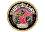 Леденцы фруктовые, Candy Lane (Канди Лейн) 200 г арт. CL-1-2 лесные ягоды жестяная банка